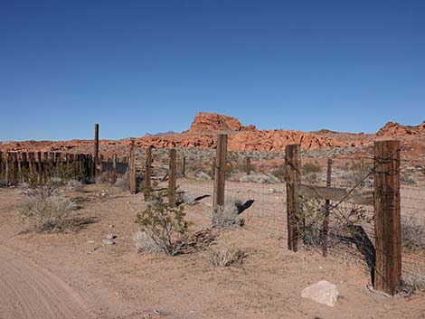 Mud Wash Corral