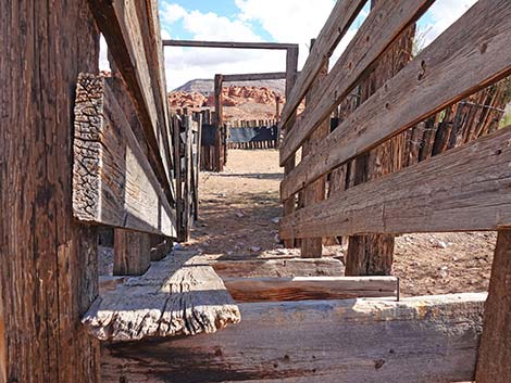 Mud Wash Corral