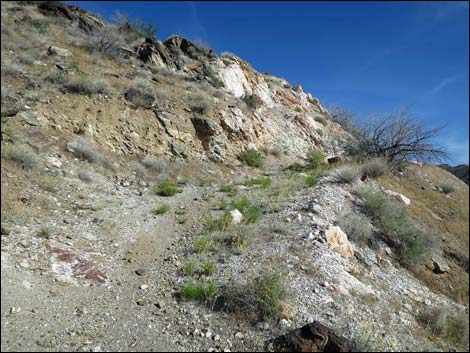 Nevada Mica Mine Camp