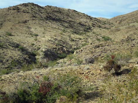 Rattlesnake Spring