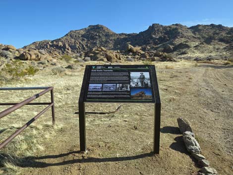 Gold Butte Townsite