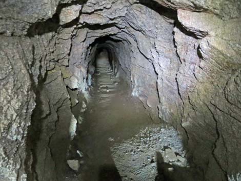 Gold Butte Townsite Upper Mine