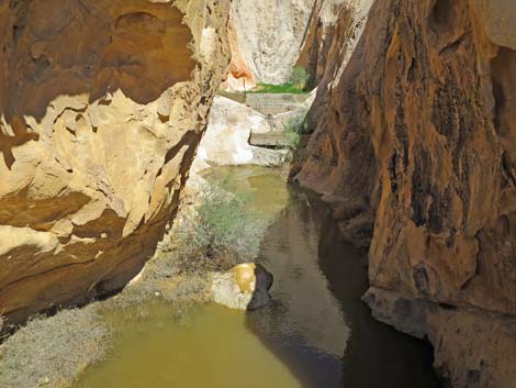 Whitney Pocket CCC Dam