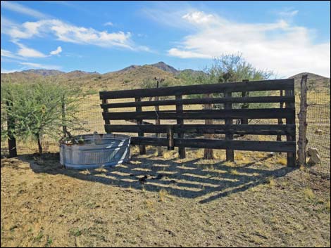 Willow Wash Corral