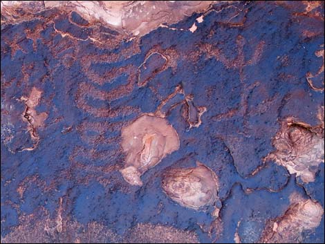 Gold Butte petroglyphs