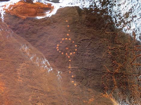 Gold Butte petroglyphs