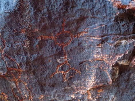 Gold Butte petroglyphs