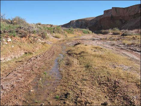 Red Bluff Spring