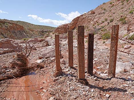 Red Bluff Spring