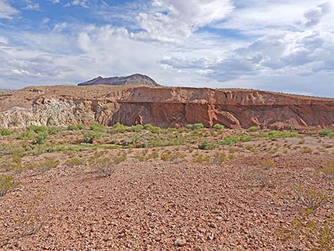 Red Bluff Spring