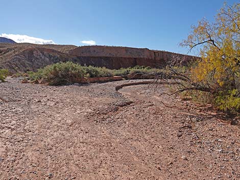 Red Bluff Spring