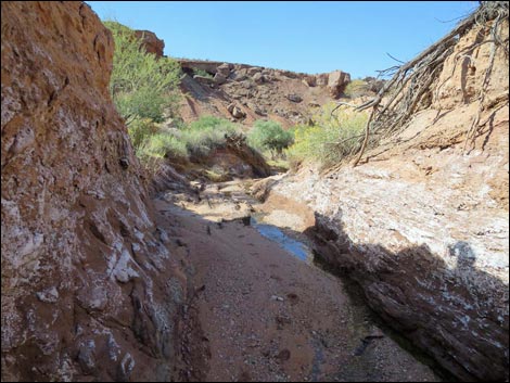 Red Bluff Spring