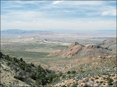 Billy Goat Peak Road