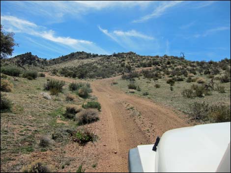 Billy Goat Peak Road