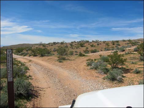 Black Butte Road