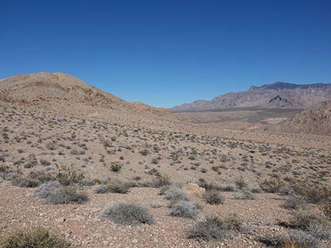 Black Butte Road