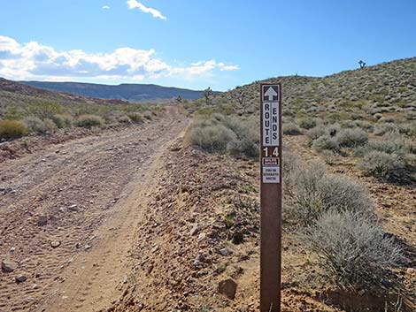 Black Butte Road