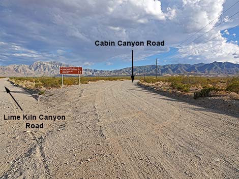 Cabin Canyon Road