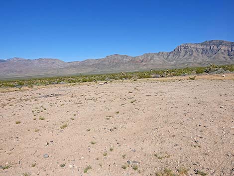 Cabin Canyon Road