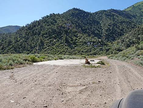 Cabin Canyon Road