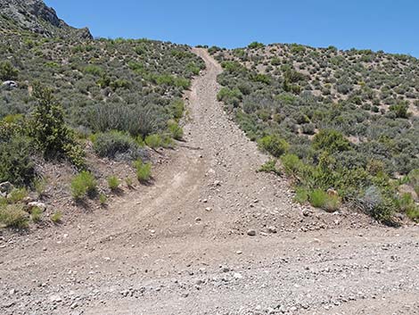 Cabin Canyon Road