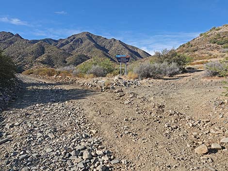 Cabin Canyon Road