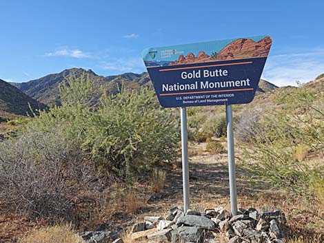 Cabin Canyon Road