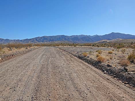 Cabin Canyon Road