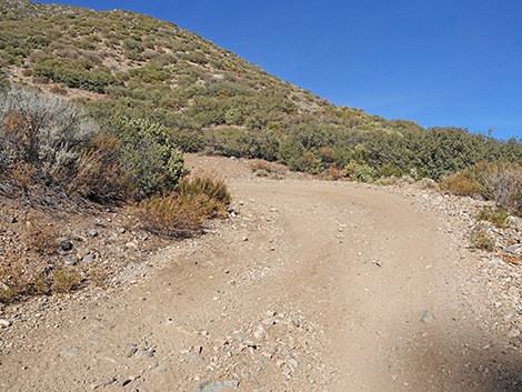 Cabin Canyon Road