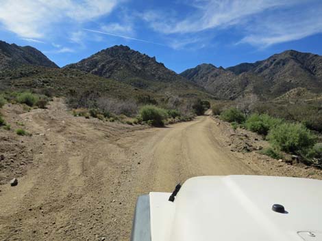 Cabin Canyon Road