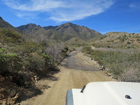 Cabin Canyon Road