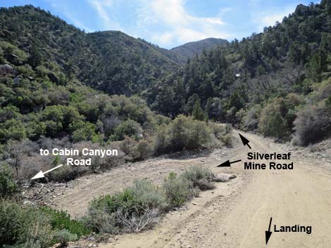 Silverleaf Mine Road 