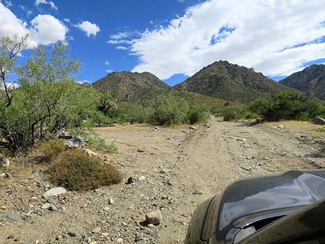 Cabin Canyon Road