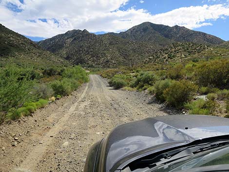 Cabin Canyon Road