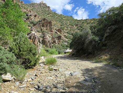 Cabin Canyon Road