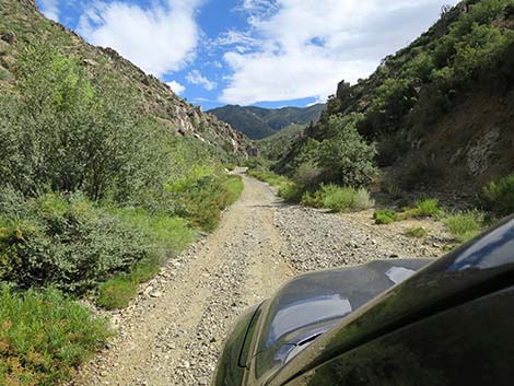 Cabin Canyon Road