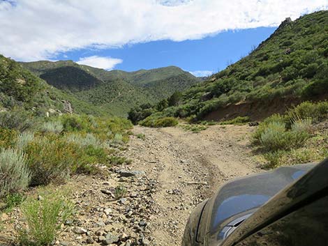 Cabin Canyon Road