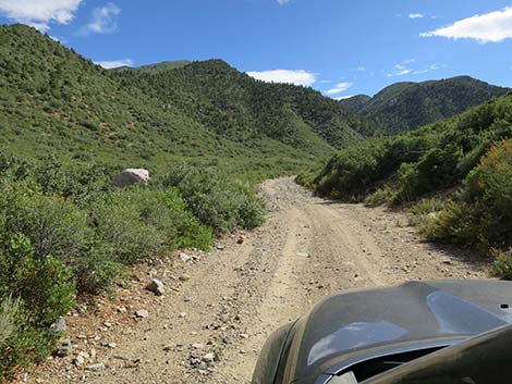 Cabin Canyon Road