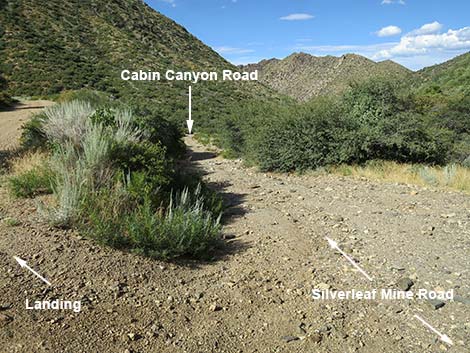 Silverleaf Mine Road 