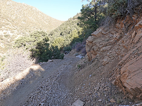 Upper Upper Nickel Canyon Road