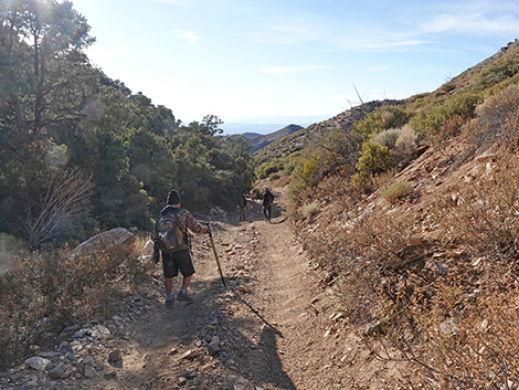 Upper Upper Nickel Canyon Road