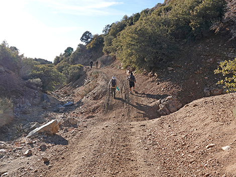 Upper Upper Nickel Canyon Road