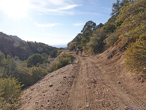 Upper Upper Nickel Canyon Road