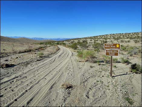 Catclaw Wash Road