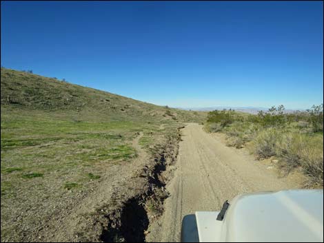 Catclaw Wash Road