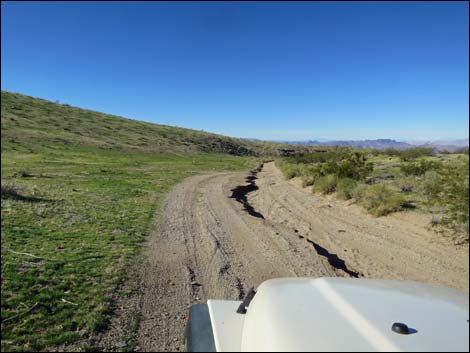 Catclaw Wash Road