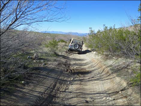 Catclaw Wash Road