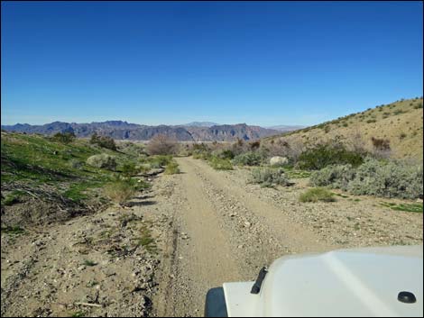 Catclaw Wash Road