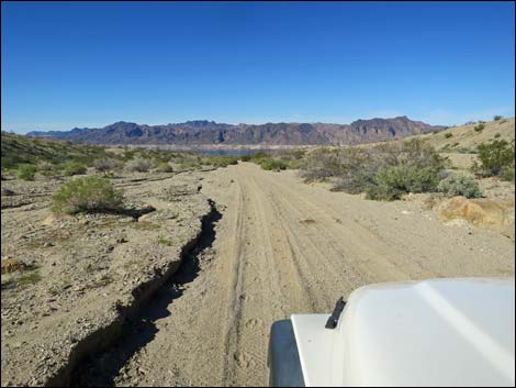 Catclaw Wash Road