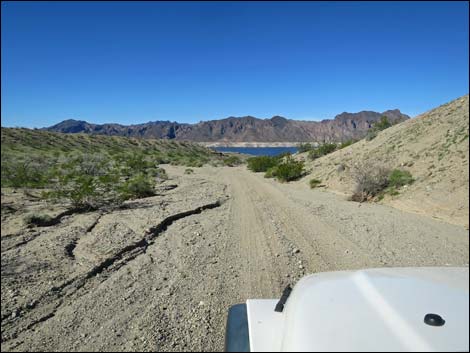 Catclaw Wash Road